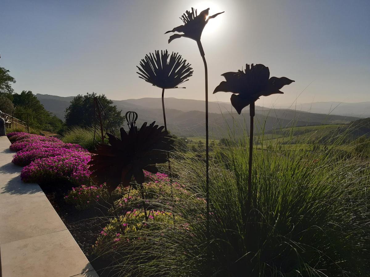 Il Burellino Villa Montalcino Bagian luar foto
